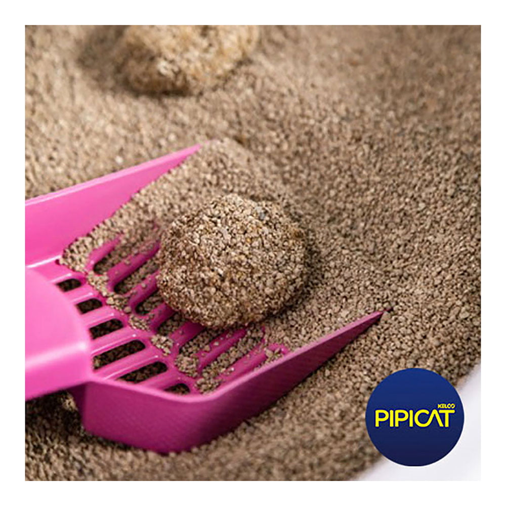 Areia Higiênica Pipicat Floral Para Gatos 4kg Popular Pet Pet