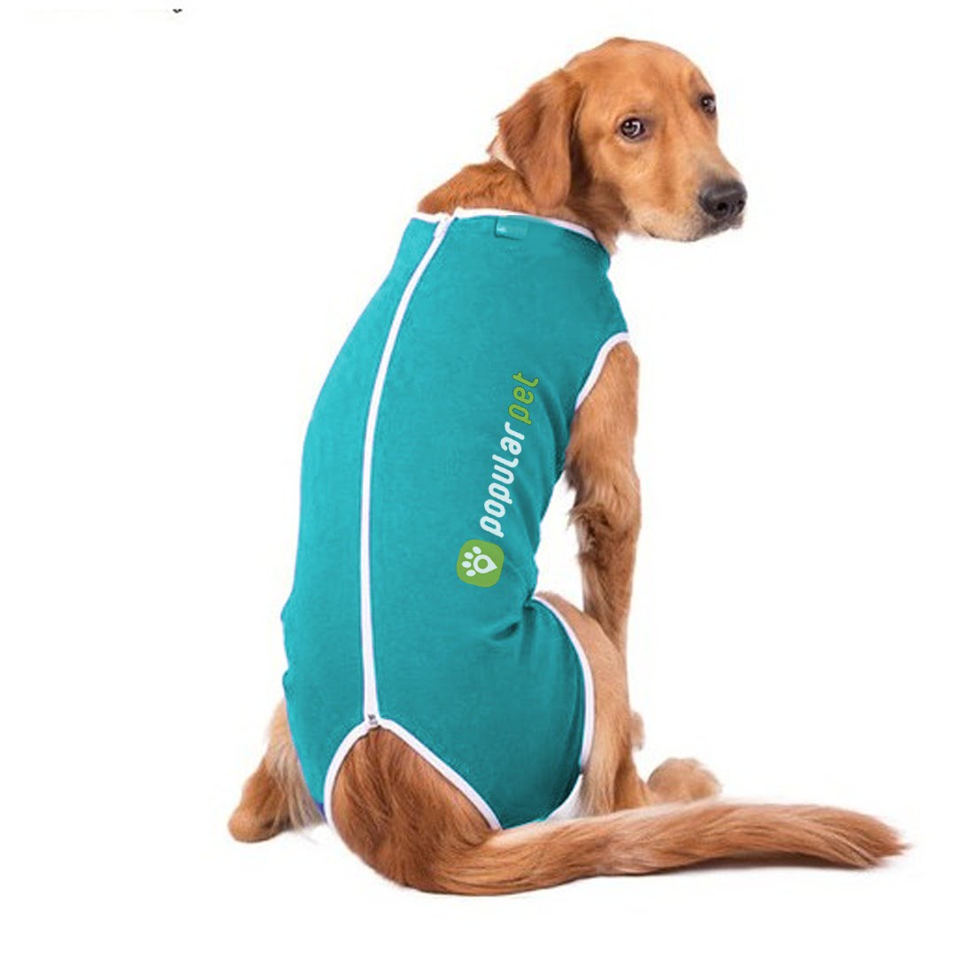 Roupa para Cachorro em Oferta