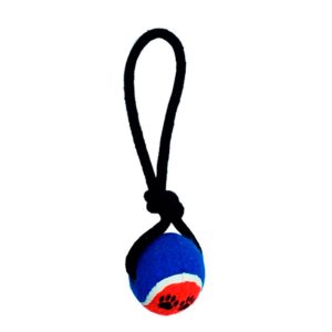 Brinquedo Mordedor Para Cães Corda Puxador com Bolinha Azul Savana Pet