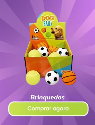 Brinquedos e acessórios