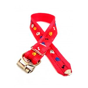 Coleira Para Cães Osso Patinha D&G Cores Sortidas Tam. G