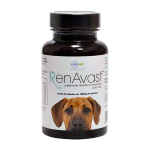 Suplemento RenAvast 1000mg Para Cães Inovet 60 Cápsulas