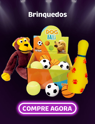 Brinquedos e acessórios