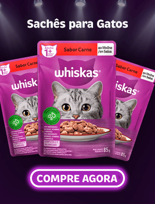 Sachês para Gatos