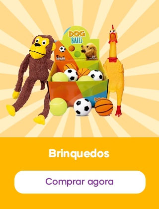 Brinquedos e acessórios