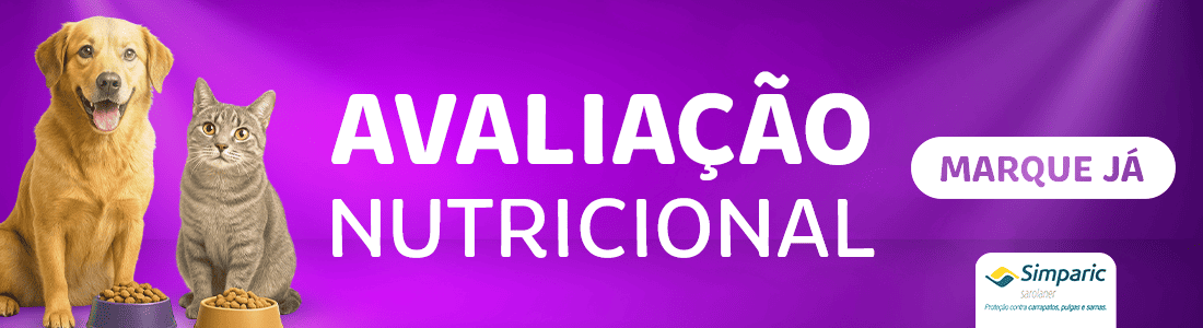 Plano Nutricional