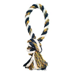 Brinquedo Mordedor Para Cães Dental Bone Argola Simples Corda Petgrows