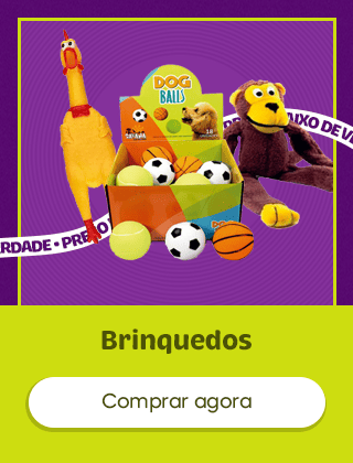 Brinquedos e acessórios