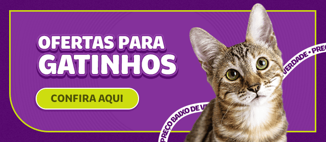 Ofertas para Gato