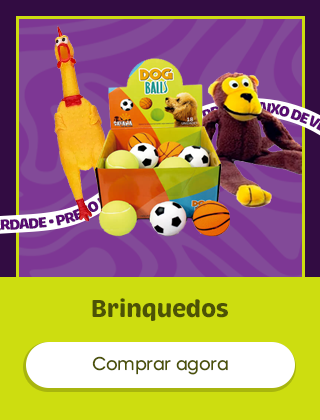 Brinquedos e acessórios