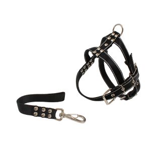 Conjunto Guia e Peitoral Reforçado Para Cães D&G Cores Sortidas Tam. M