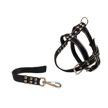 Conjunto Guia e Peitoral Reforçado Para Cães D&G Cores Sortidas Tam.P
