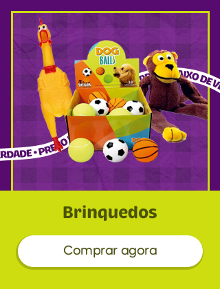 Brinquedos e acessórios